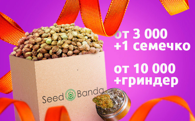 Бонусные семена и сувениры в подарок Бонусы в заказе на определенную сумму покупки