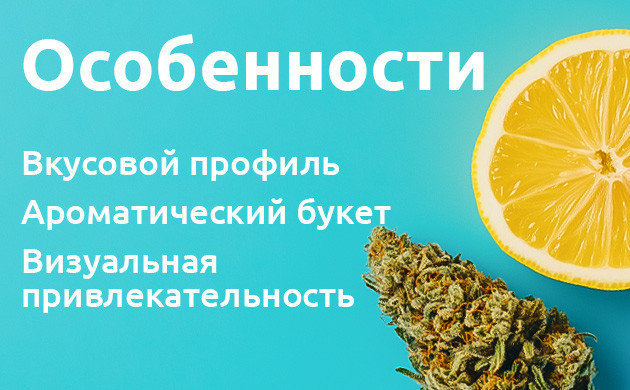 Роль терпенов в Lemon Skunk