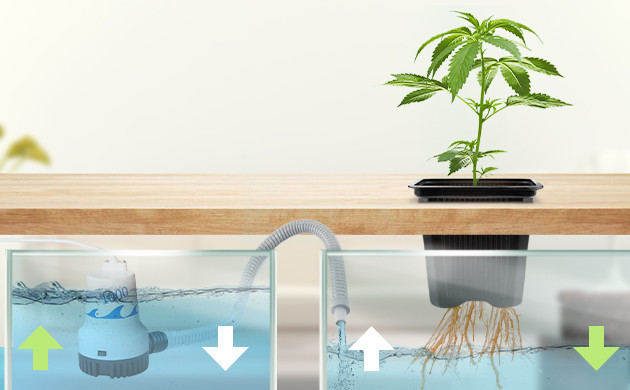 Горшок с растением отдельно от резервуара 