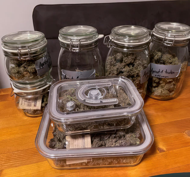 Впечатления от грова Харвест