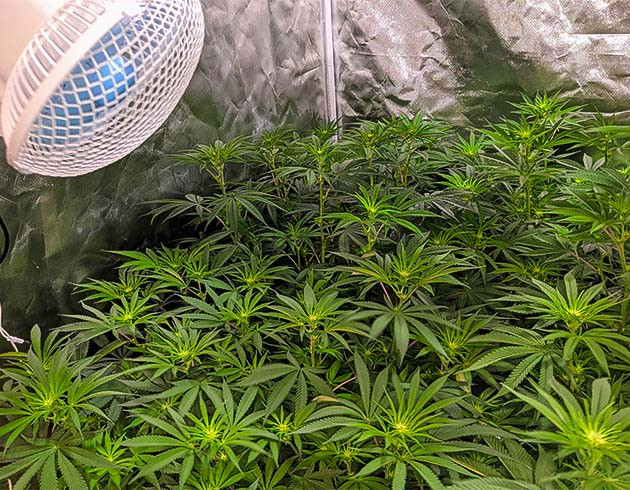 Рост высоты и зачистка