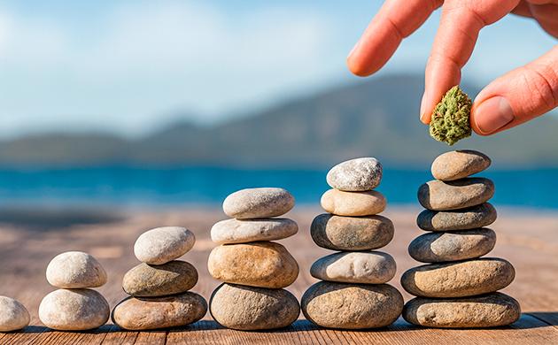 Влияние каннабиса на внимание и фокус Влияние каннабиса на когнитивные функции и концентрацию