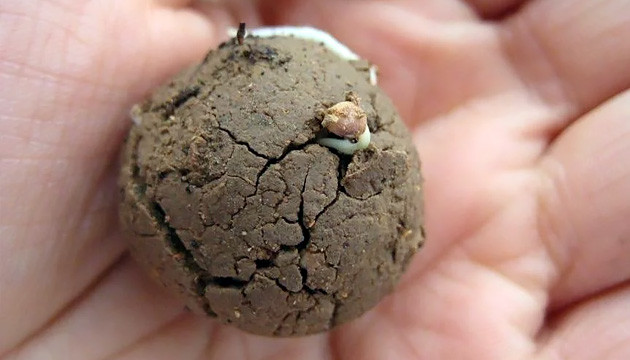 Внешний вид сидбомбы