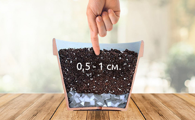 Углубление в грунте Ямка глубиной до 1 см