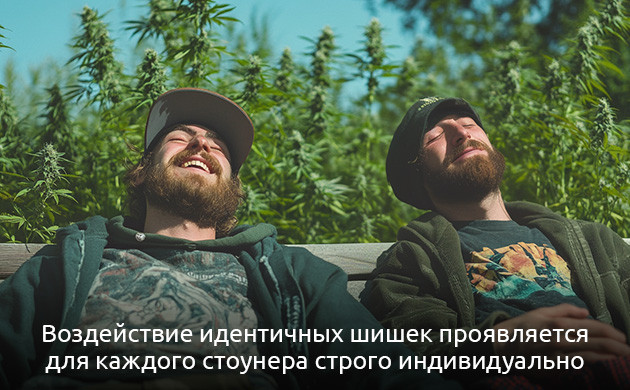 Генетика и реакция на ТГК