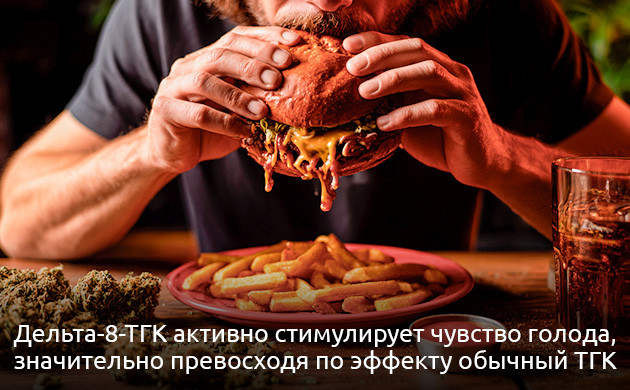 Дельта-8-ТГК: аппетит, противорвотное и нейропротекторное действие Дельта-8-ТГК с терапевтическим потенциалом