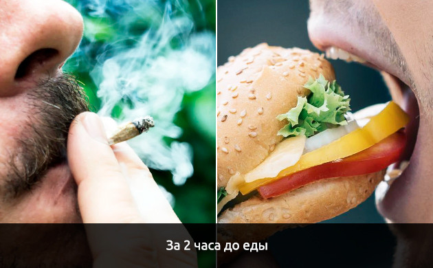 Употребление марихуаны до еды