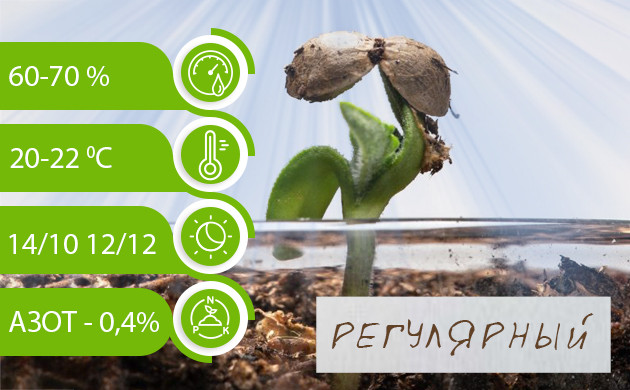 Факторы влияющие на получение женского растения Благоприятные показатели для получения женского растения