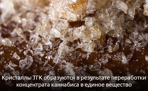 Получение кристаллов ТГК Кристаллы ТГК образуются после переработки концентрата каннабиса