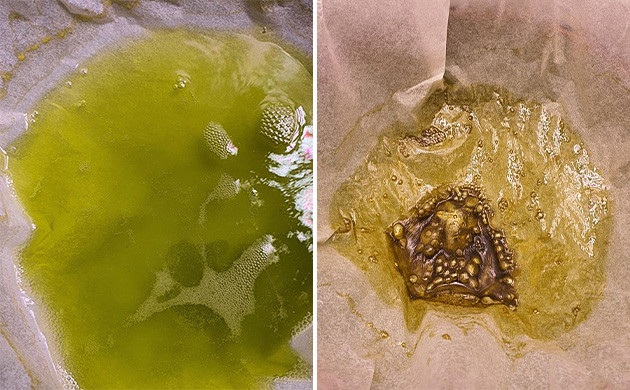 Сбор продукта: используя стеклянный или керамический контейнер с пергаментом Хранение продукта: стеклянный или керамический контейнер с пергаментной бумагой