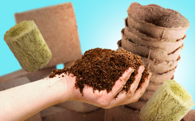 Выбор среды для выращивания клонов конопли