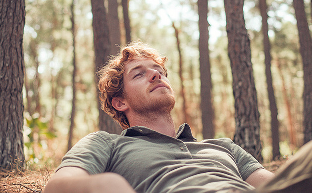 Влияние лимонена на тревожность Исследования анксиолитических эффектов