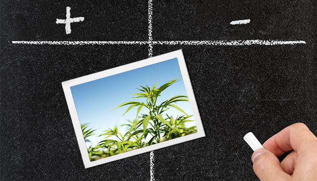 Плюсы и минусы аутдора Преимущества и недостатки аутдора