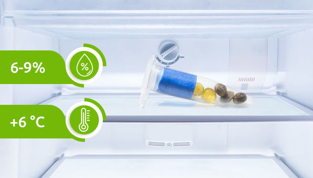 Условия хранения семян Хранение при температуре +6 °C и влажности 6-9%