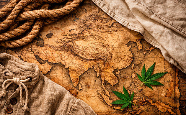 История использования марихуаны Ткань с тысячелетней историей
