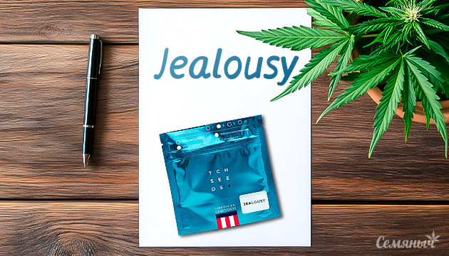 Сорт конопли Jealousy от сидбанка 7CH American Сорт конопли Jealousy