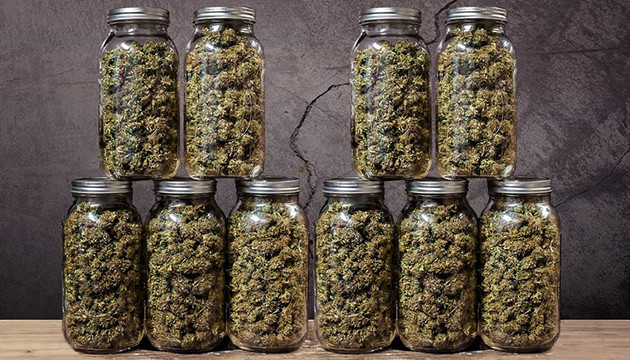 Хранение марихуаны Хранение шишек марихуаны