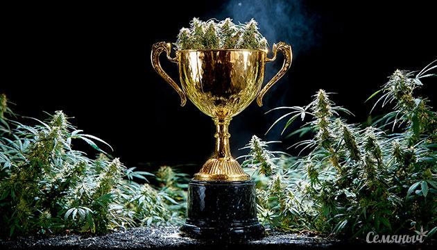 Голосование за Летний Кубок Семяныча