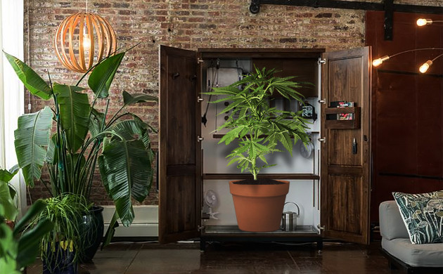 Гроубокс в квартире своими руками Гроубокс замаскированный в тумбочке