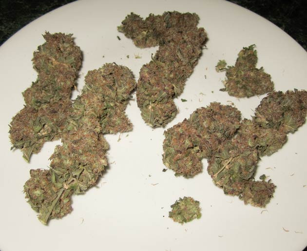 Общие впечатления о сорте End Game R2 Собранные шишки конопли