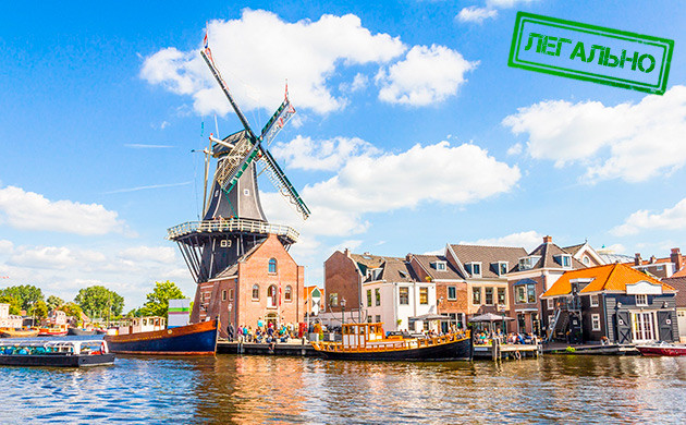 Легален ли каннабис в Нидерландах Статус марихуаны в Нидерландах