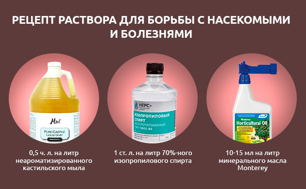 Средства для борьбы с вредителями