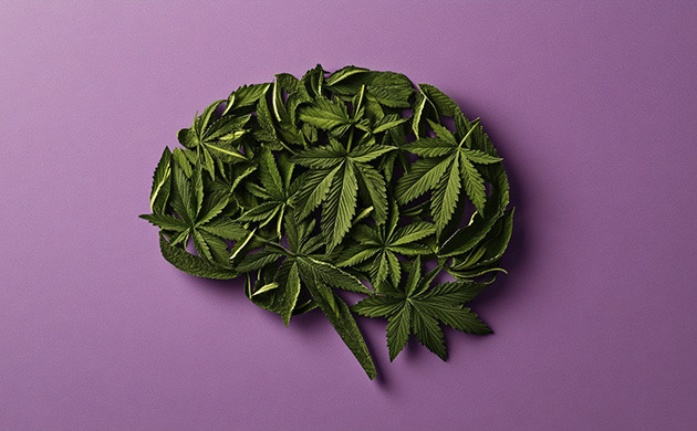 Терри Неско о марихуане