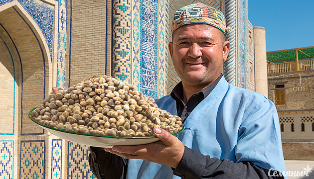 Новый сорт Taskenti