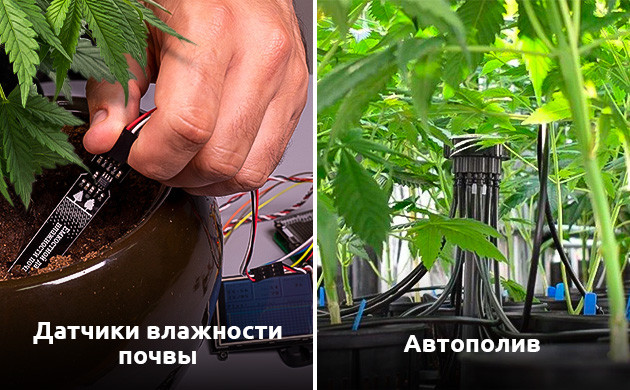 Датчики влажности почвы для Crop Steering Автополив для Crop Steering