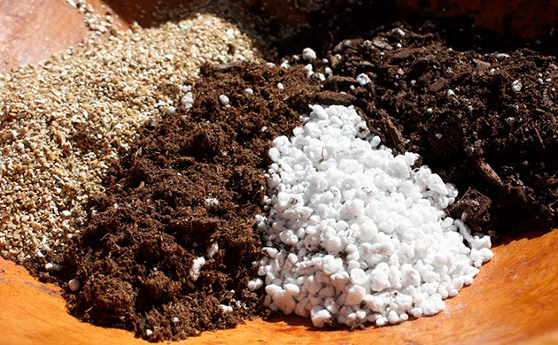 Правильная почва для саженцев конопли Почва для конопли в начале выращивания