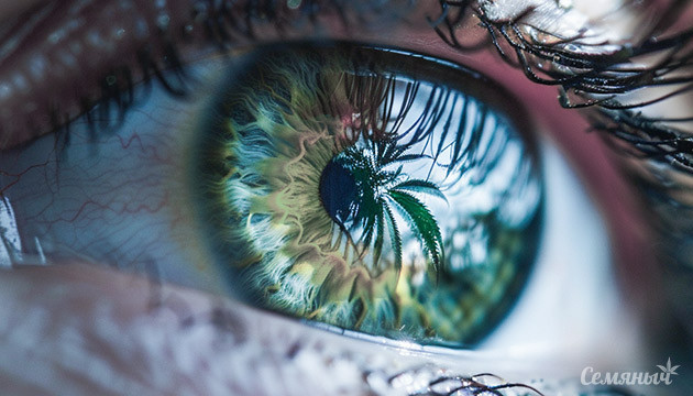 Как избежать неловких вопросов