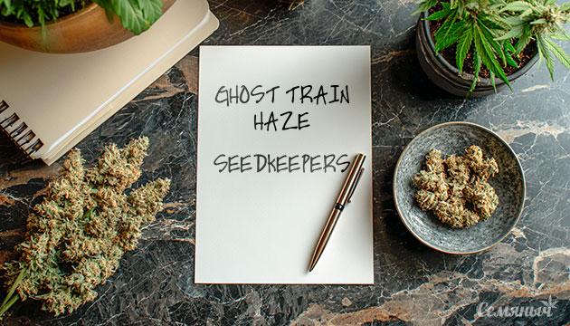 Выращивание сорта марихуаны Ghost Train Haze от Seedkeepers Гроурепорт сорта Ghost Train Haze от Seedkeepers