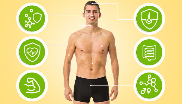 Вся польза конопляного смузи Полезные свойства чиа пудинга с конопляным смузи