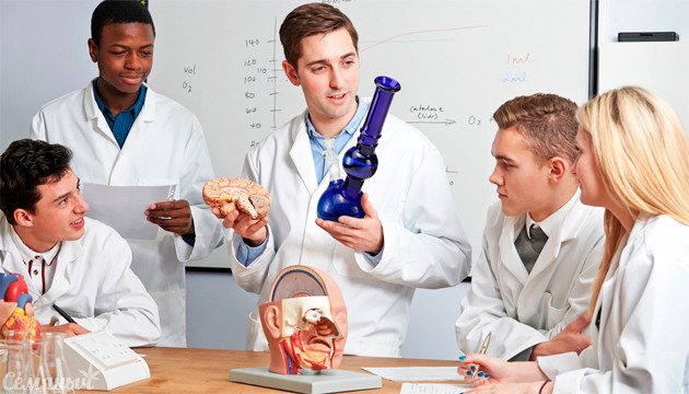 Влияние марихуаны на физиологию человека