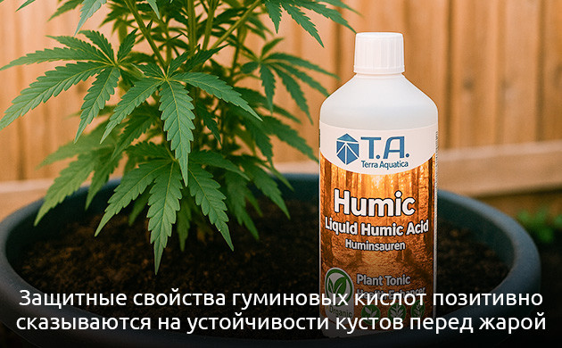 Природный стимулятор для конопли Гуминовые кислоты для защиты каннабиса