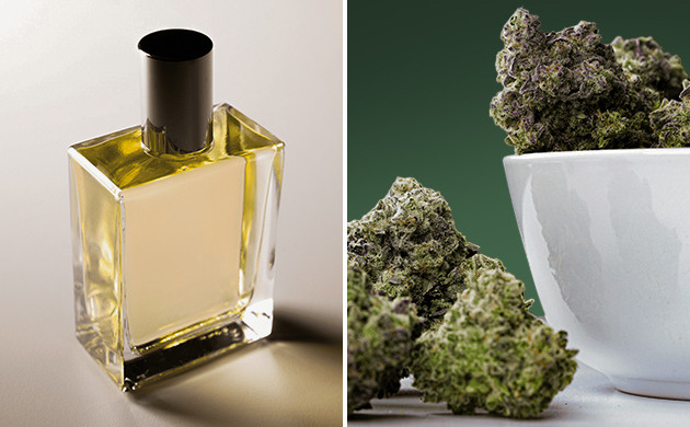 Процесс Cryo Cure в деталях Этапы сушки в Cryo Cure