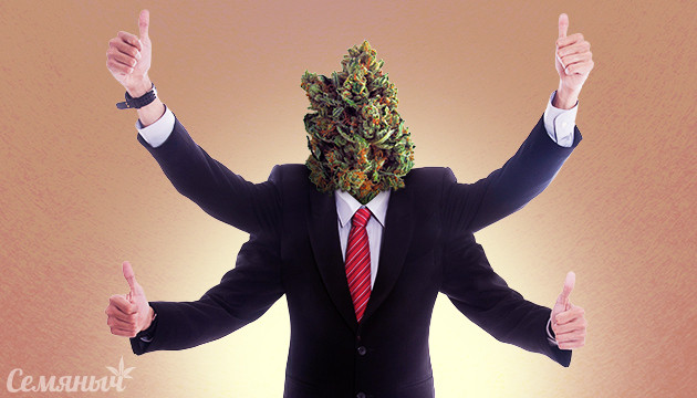 Подробнее о методике «Четыре ЗА» «Четыре ЗА» при выращивании конопли