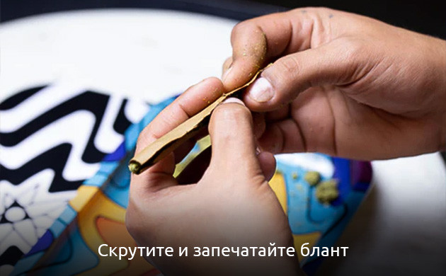 Скрутите и запечатайте блант Скрутите и запечатайте Свишер Блант