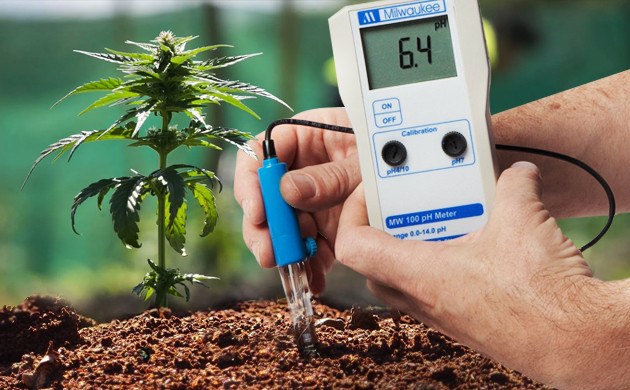 pH почвы для конопли