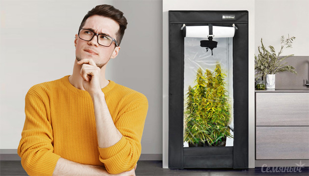 Где установить гроубокс для выращивания конопли Гроубокс для выращивания конопли