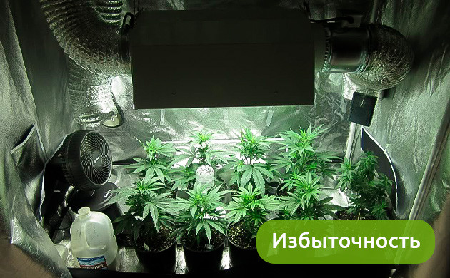 Запас прочности для систем гроубокса Избыточность при проектировании гроубокса/гроурума