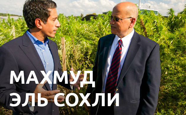 Кто такой Махмуд Эль Сохли Махмуд Эль Сохли