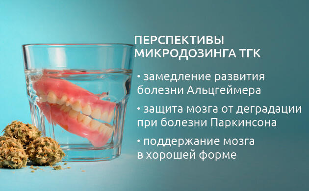 Перспективы применения ТГК при нейродегенеративных состояниях Каннабиноиды в контексте нейропротекции и старения