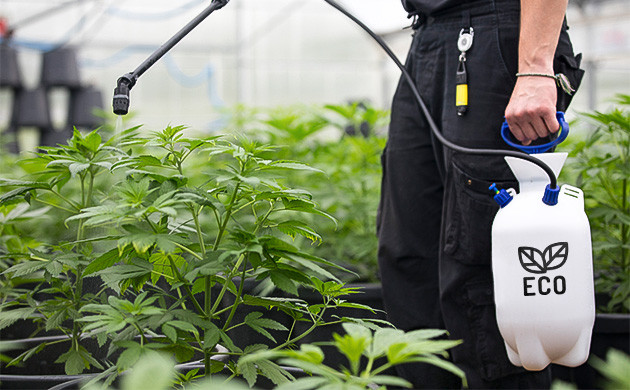 Принцип выращивания в Dr. Krippling Использование органики для выращивания