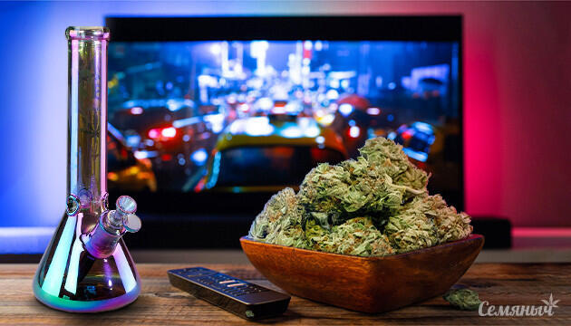 Киновечер по мотивам книг: сильные истории на экране