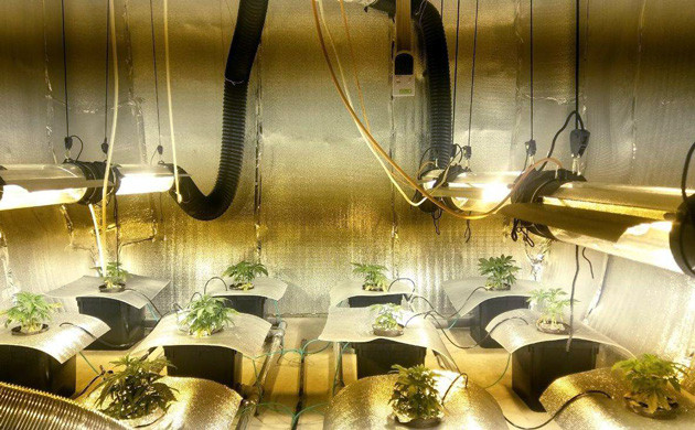 Светоотражающие накладки на горшках