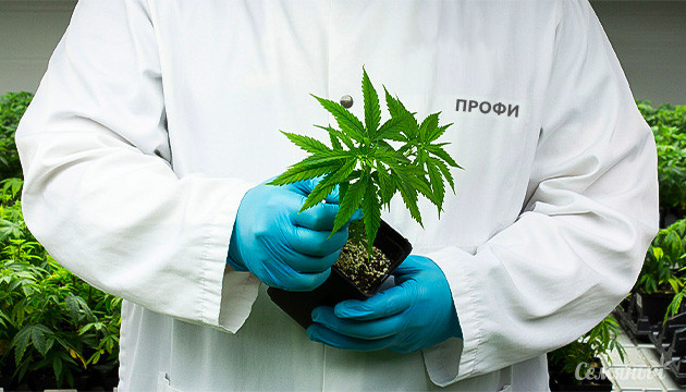 Как гроверу повысить профессионализм Как развить в себе новые гроверские навыки