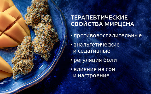 Терапевтические свойства мирцена