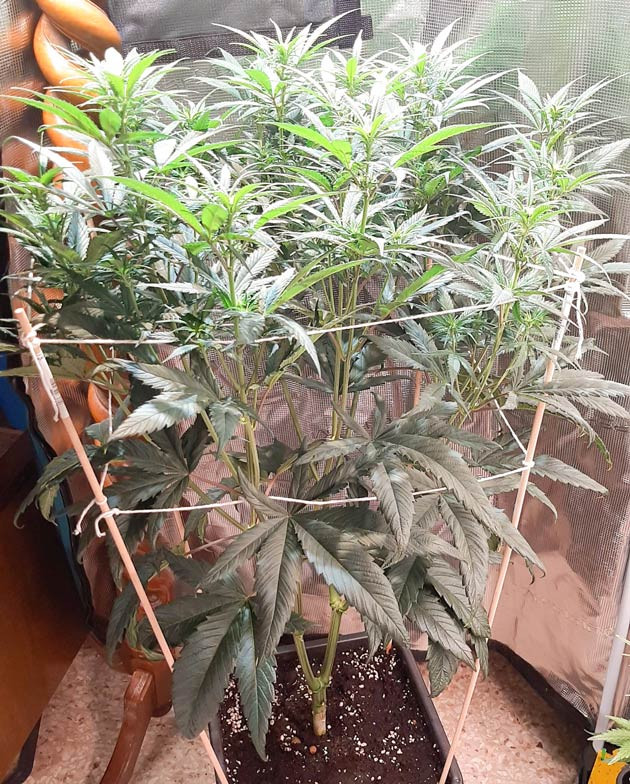 Решение проблем с освещением Fullgas