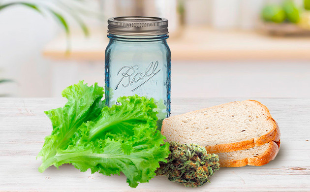 Инструкция для увлажнения методом салата и хлеба Увлажнение методом салата и хлеба